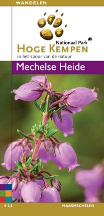 Detailfoto van Mechelse Heide