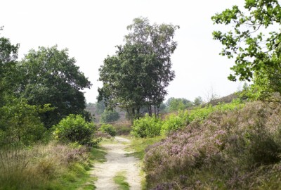 Toegangspoort Mechelse Heide (rood)